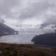 Glacier Athabaska