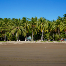 Playa Organos